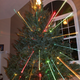 Image for article titled Zoom Photo Challenge Gallery 2